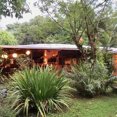 Los Mineros Guesthouse Dos Brazos Екстер'єр фото