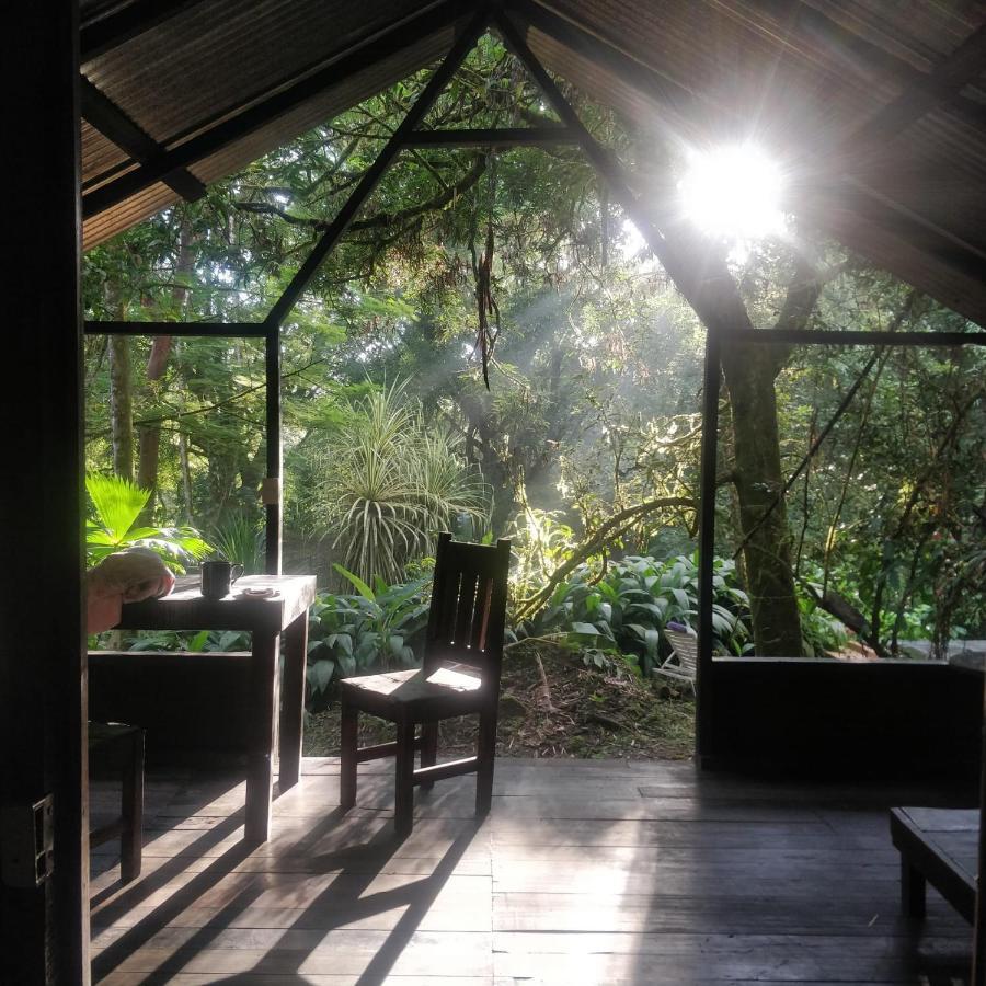 Los Mineros Guesthouse Dos Brazos Екстер'єр фото