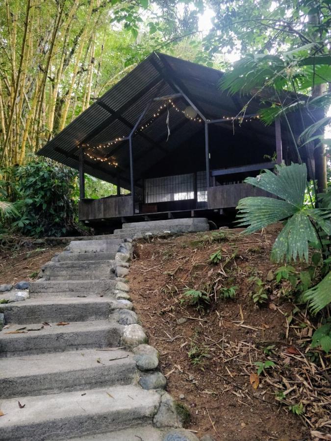 Los Mineros Guesthouse Dos Brazos Екстер'єр фото