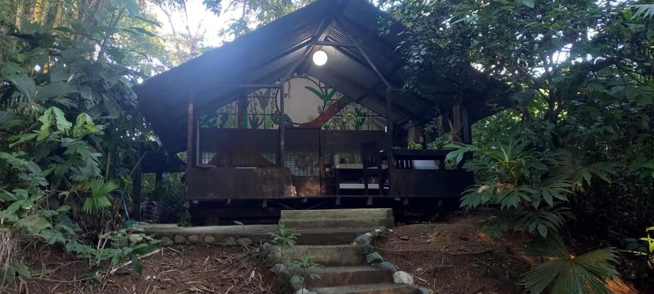 Los Mineros Guesthouse Dos Brazos Екстер'єр фото