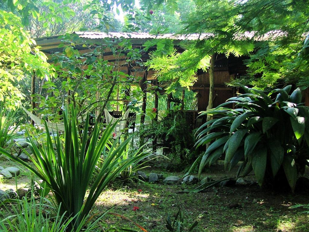 Los Mineros Guesthouse Dos Brazos Екстер'єр фото