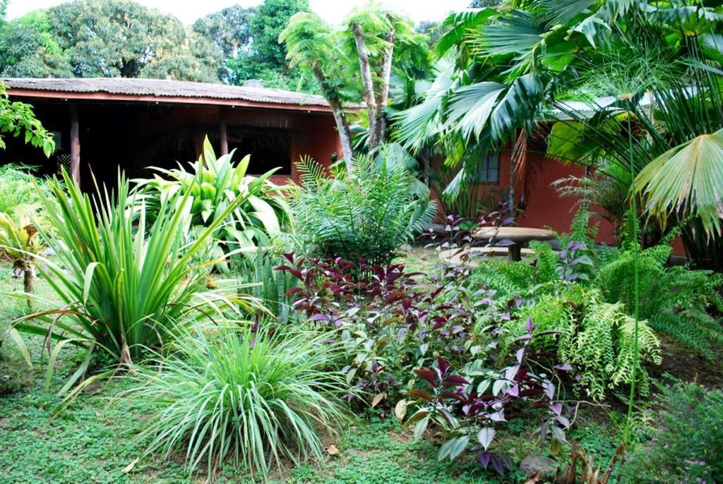 Los Mineros Guesthouse Dos Brazos Екстер'єр фото