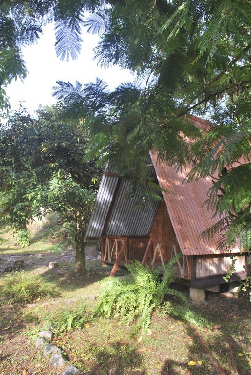 Los Mineros Guesthouse Dos Brazos Екстер'єр фото