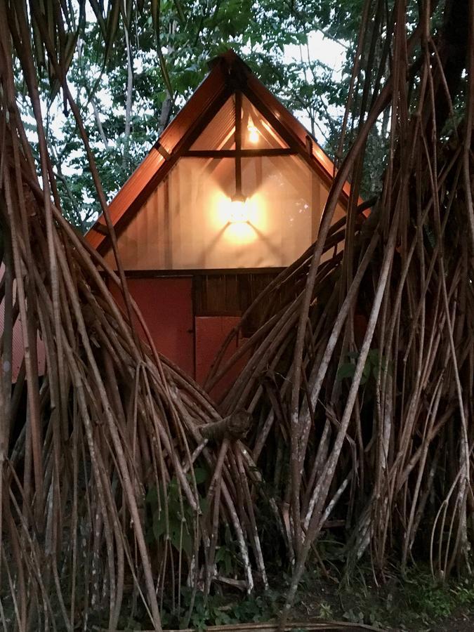 Los Mineros Guesthouse Dos Brazos Екстер'єр фото