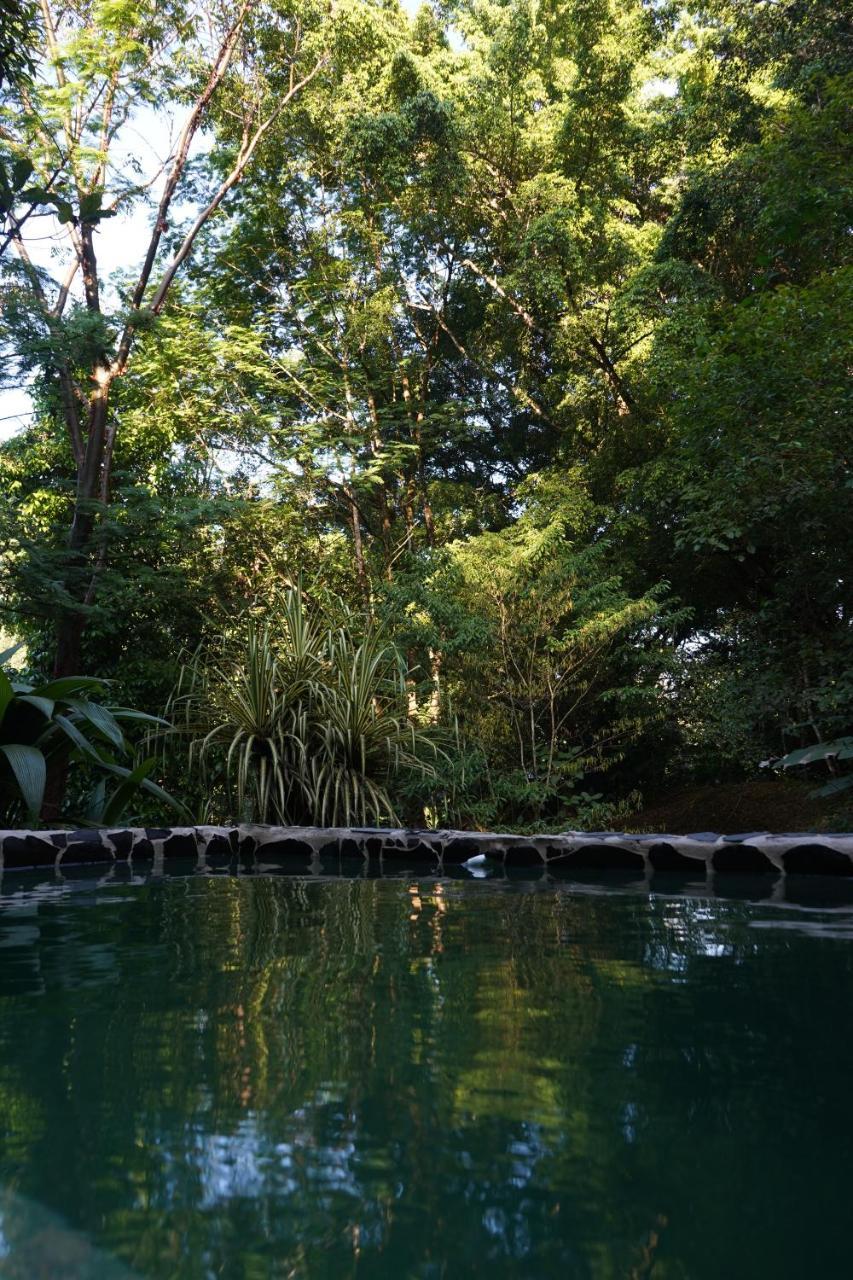 Los Mineros Guesthouse Dos Brazos Екстер'єр фото